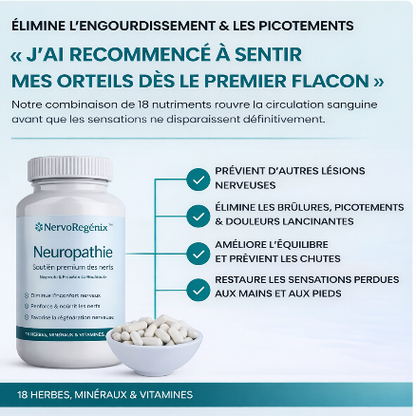 NervoRegénix™ – Soutien Neuro actif Haute Performance