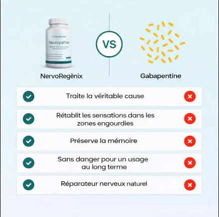 NervoRegénix™ – Soutien Neuro actif Haute Performance