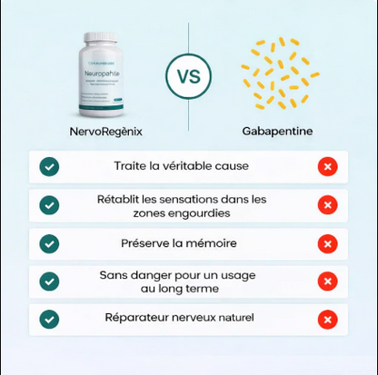 NervoRegénix™ – Soutien Neuro actif Haute Performance