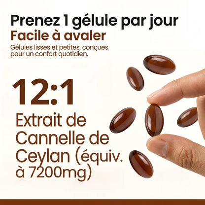 CeylanGlyco™–Stabilisez votre glycémie naturellement avec 7200 mg de vraie cannelle de Ceylan + Huile MCT